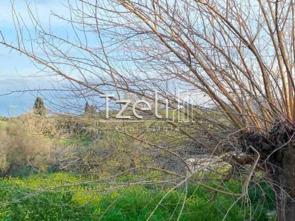 Εξωτερική άποψη χώρου