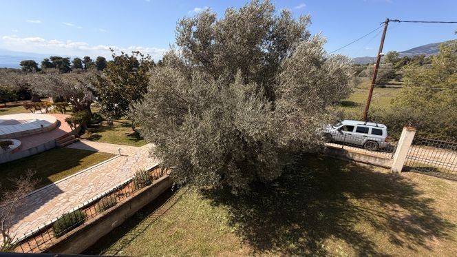 Θέα από μπαλκόνι