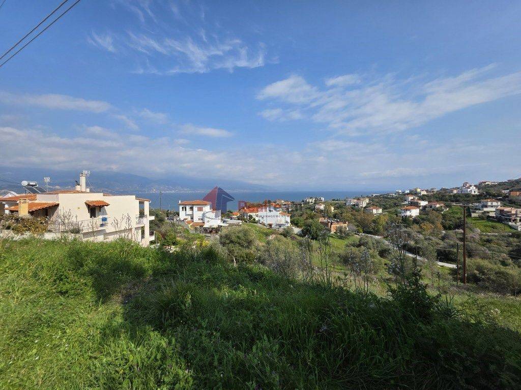 Εξωτερικοι χώροι