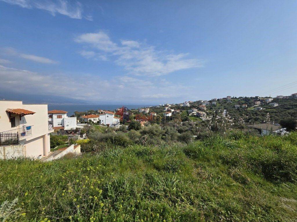 Εξωτερικοι χώροι