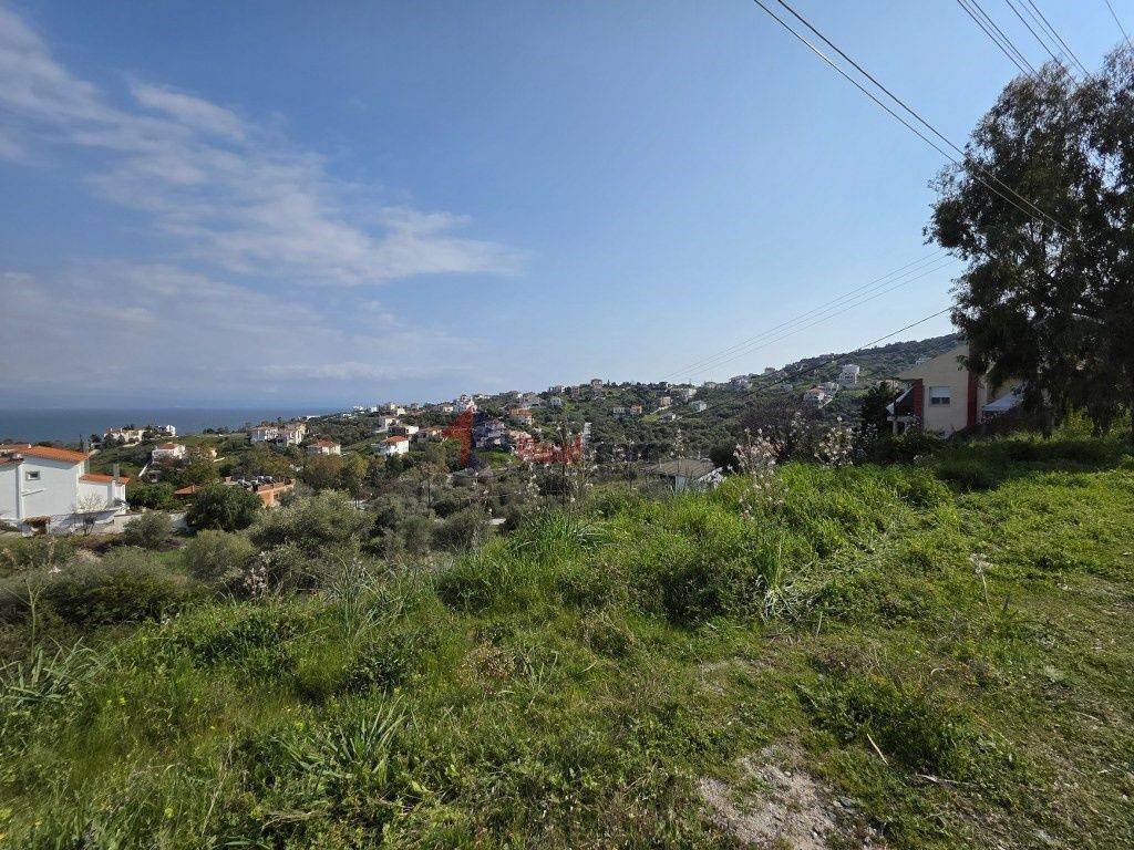 Εξωτερικοι χώροι