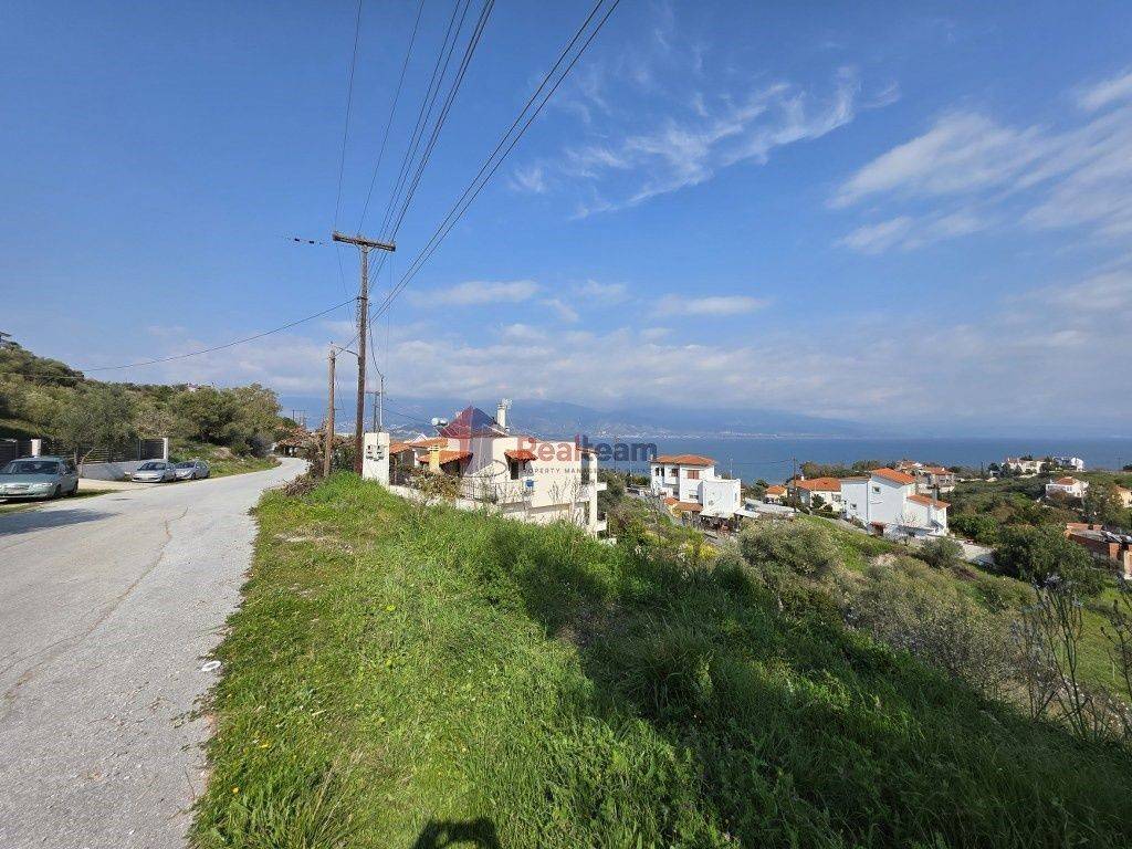 Εξωτερικοι χώροι