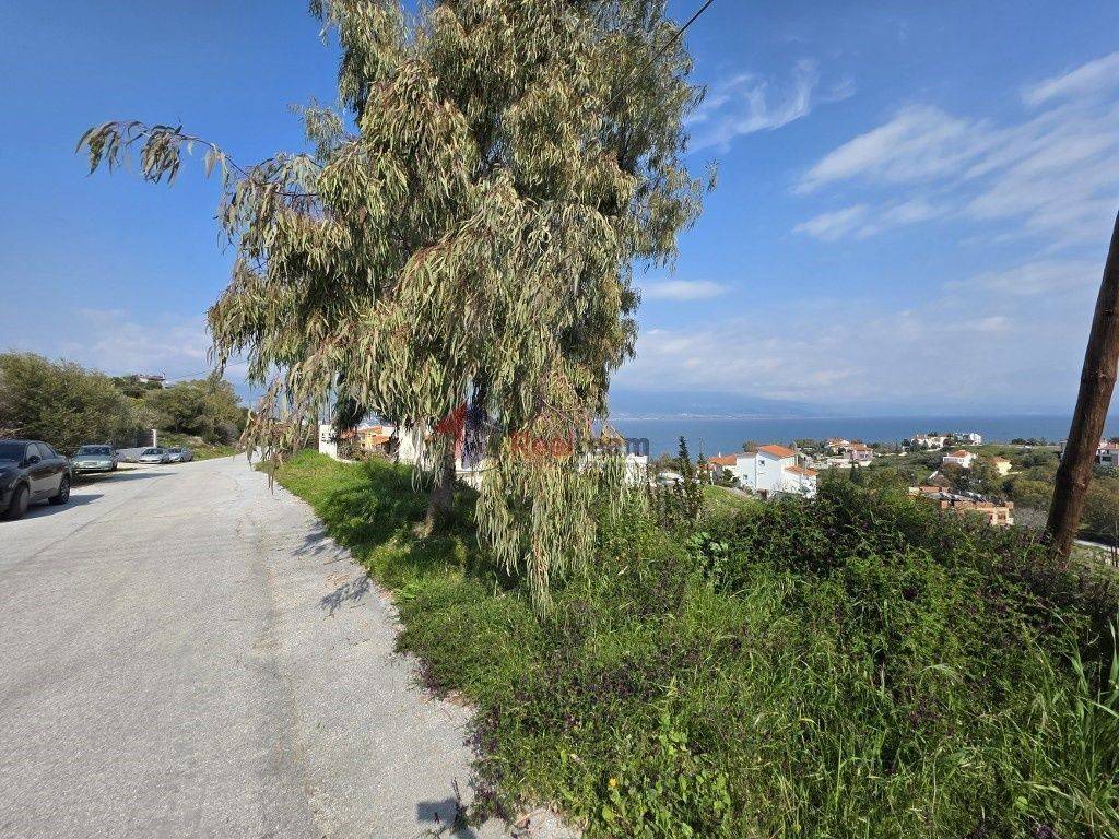 Εξωτερικοι χώροι