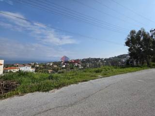 Εξωτερικοι χώροι