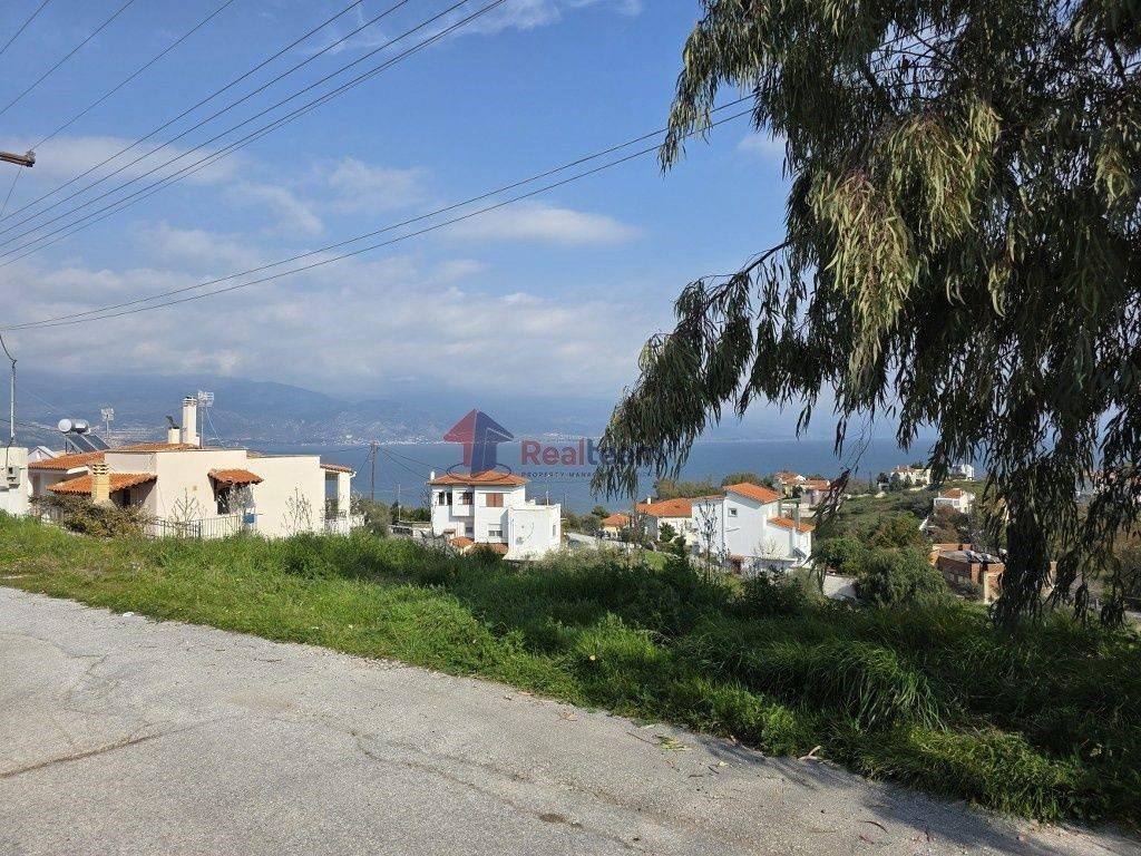 Εξωτερικοι χώροι