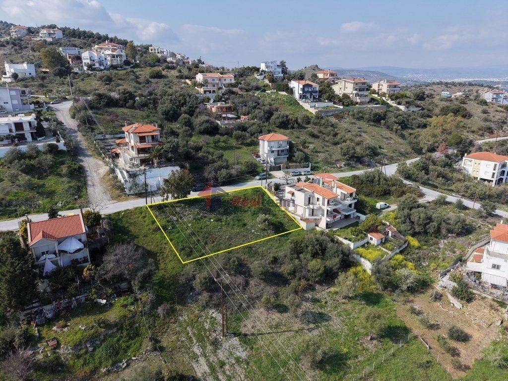 Εξωτερικοι χώροι