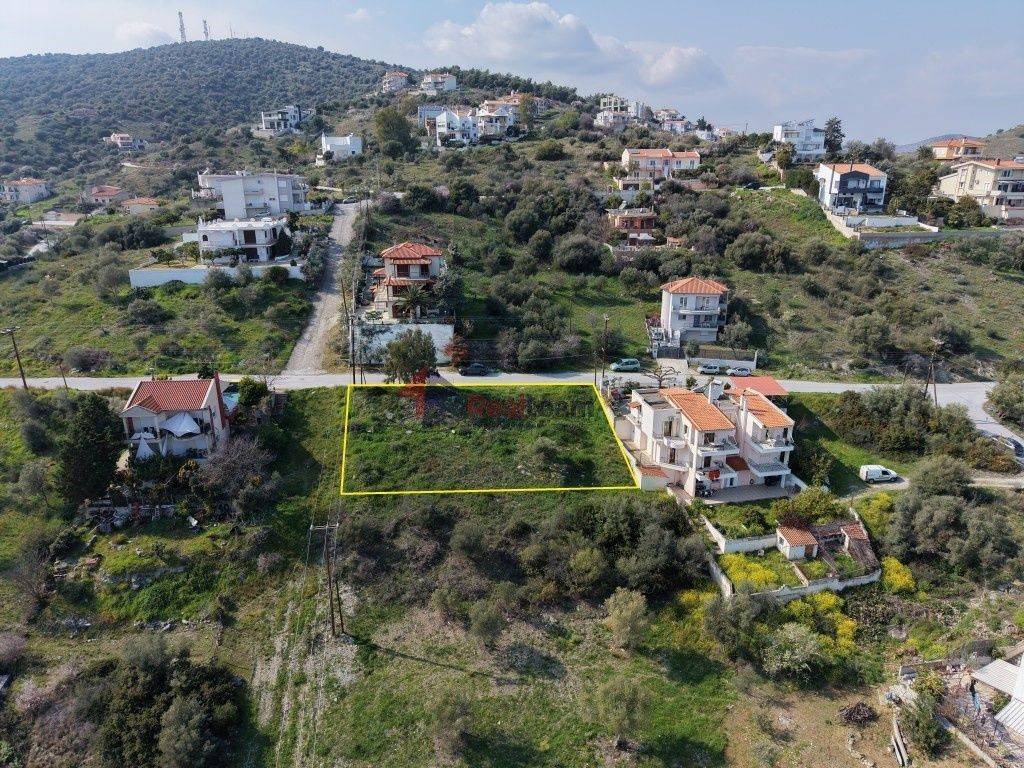 Εξωτερικοι χώροι