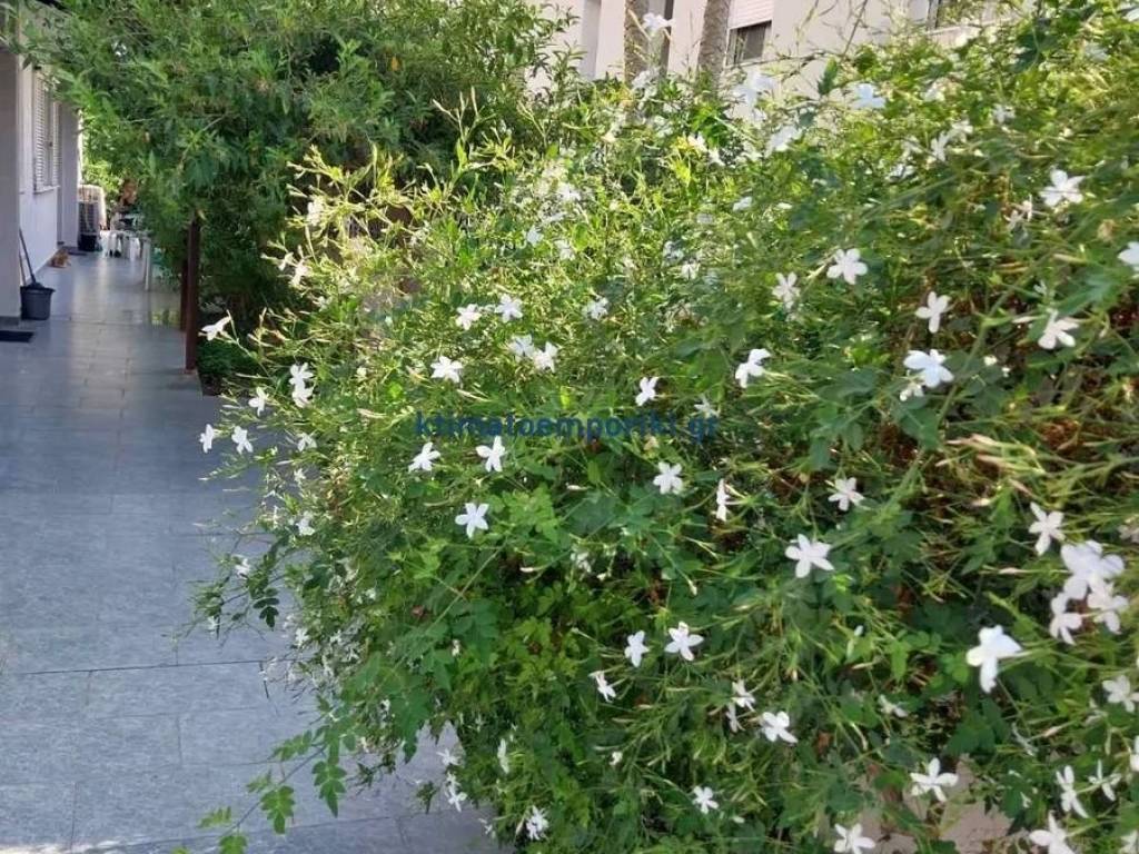 Εξωτερικοι χώροι