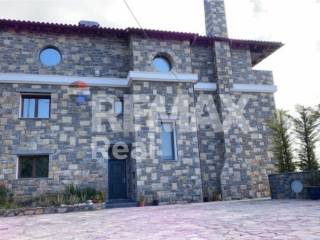 Ύπαρξη ανθρώπου