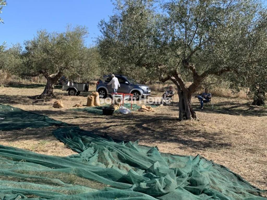 Εξωτερικός Χώρος