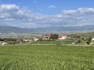 ΘΕΑ ΠΡΟΣ ΤΑΓΑΡΑΔΕΣ