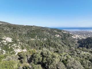 E kataplektike thea apo to agrotemachio