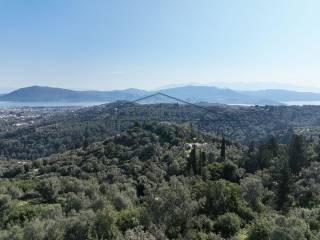 E kataplektike thea apo to agrotemachio