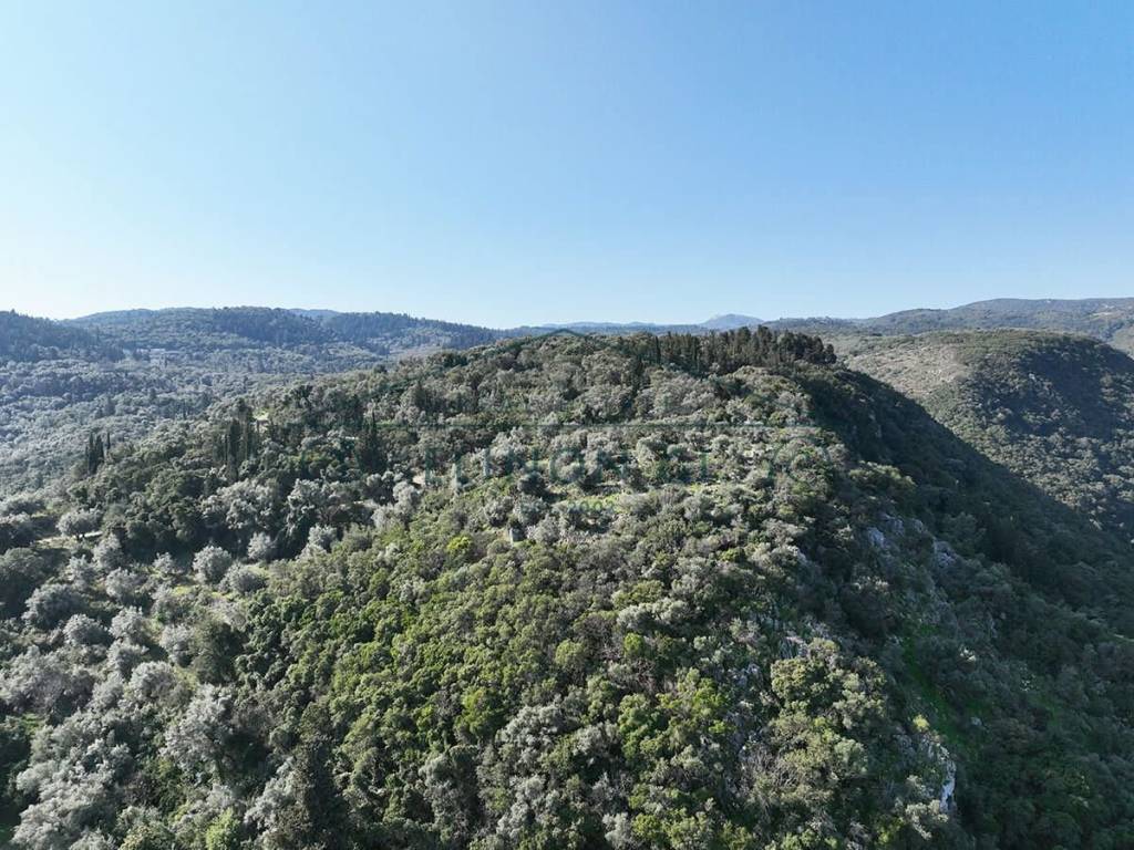 To agrotemachio apo psela