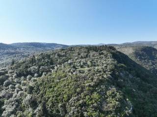 To agrotemachio apo psela