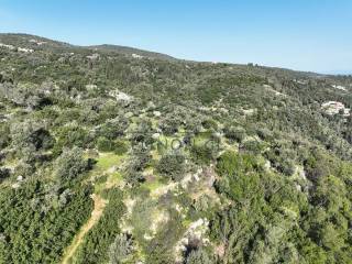 To agrotemachio apo psela