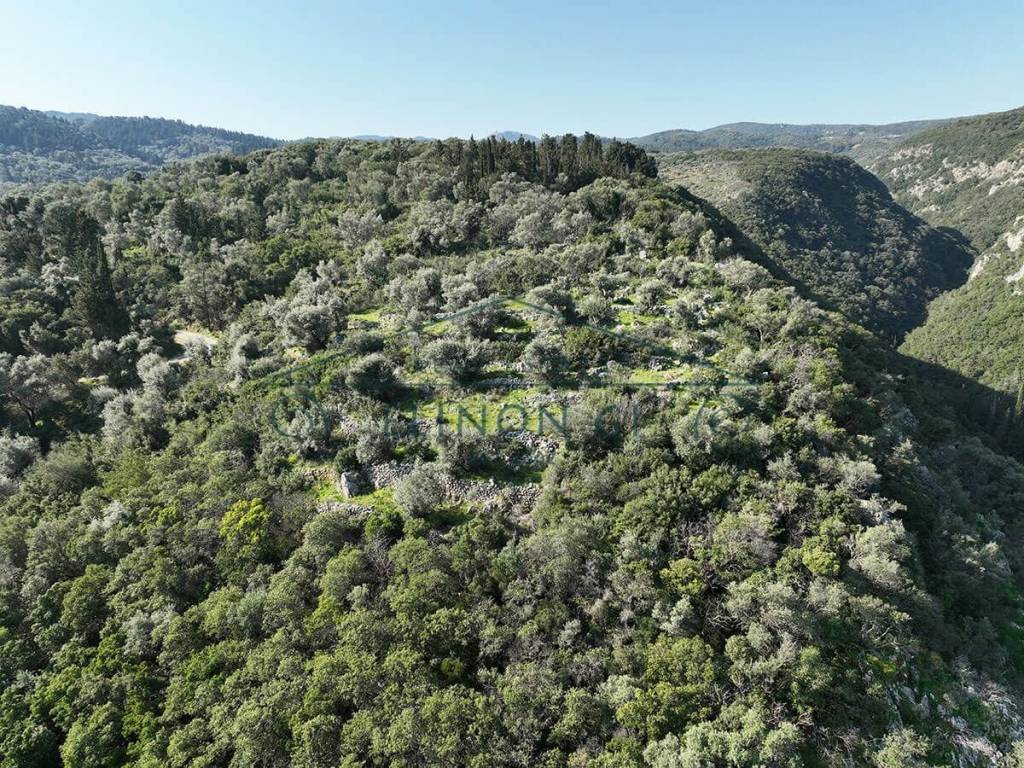 To agrotemachio apo psela