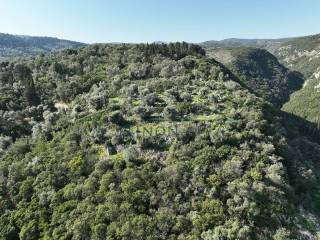 To agrotemachio apo psela