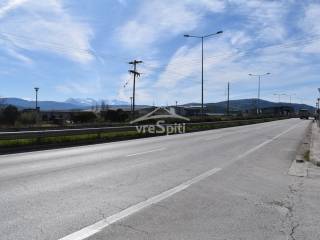 ΑΠΟΨΗ ΕΘΝΙΚΗΣ ΟΔΟΥ