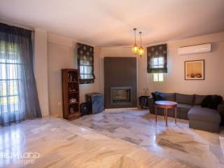 Forumland Real Estate, Σαλόνι με τζάκι