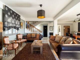 Forumland Real Estate, Σαλόνι με τζάκι