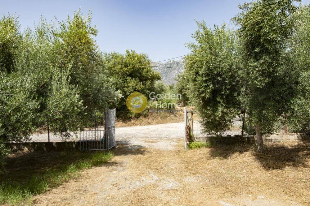 Εξωτερικός Χώρος