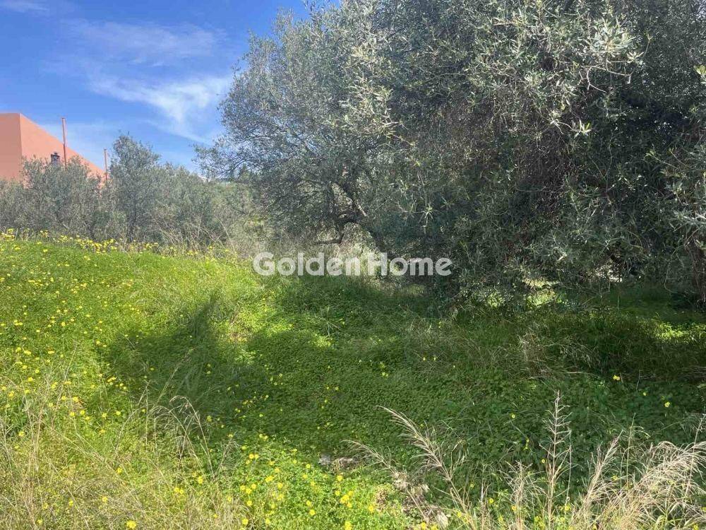 Κυρίως Χώρος