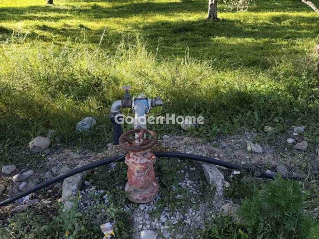 Εξωτερικός Χώρος