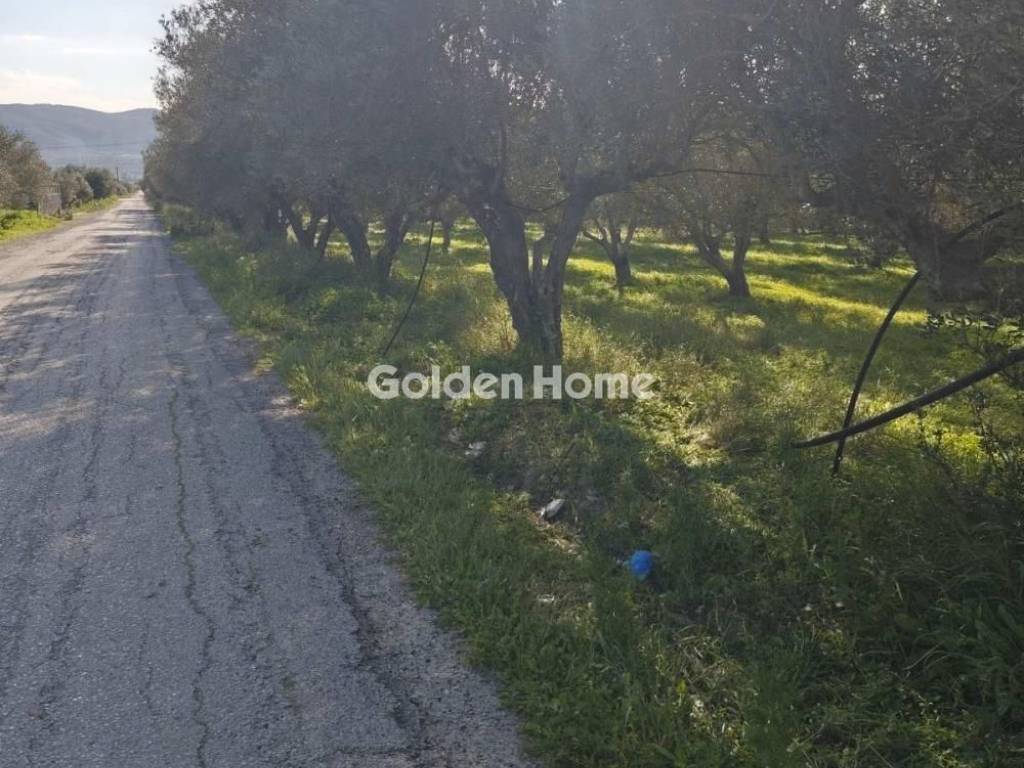 Εξωτερικός Χώρος