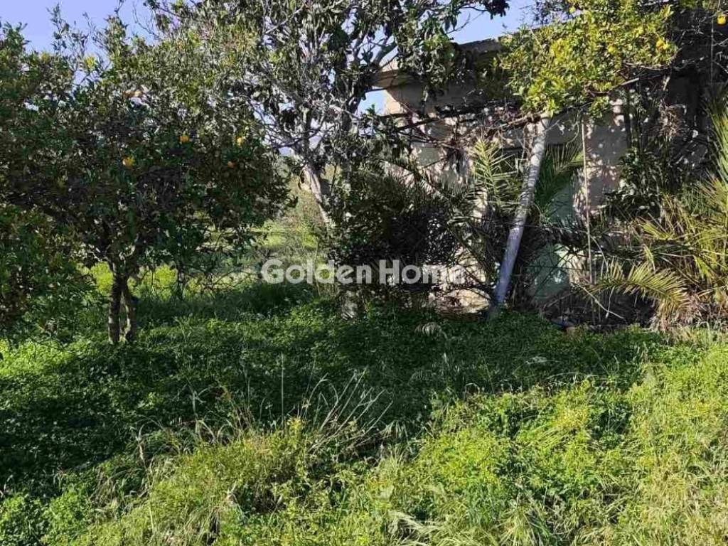 Εξωτερικός Χώρος