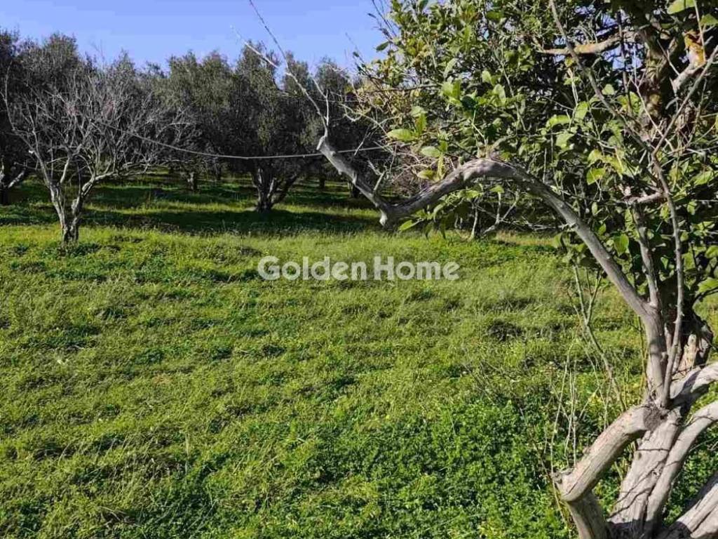 Εξωτερικός Χώρος