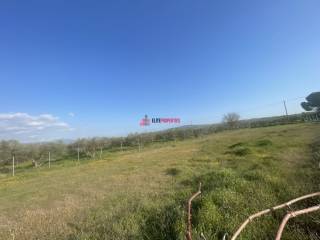 ΧΩΡΑΦΙ WATERLAND