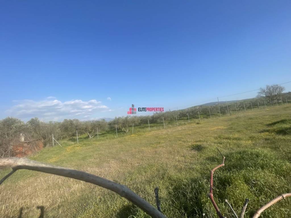 ΧΩΡΑΦΙ WATERLAND