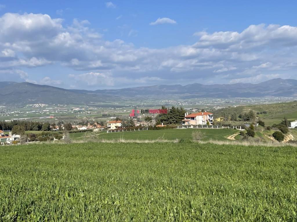 ΘΕΑ ΠΡΟΣ ΤΑΓΑΡΑΔΕΣ