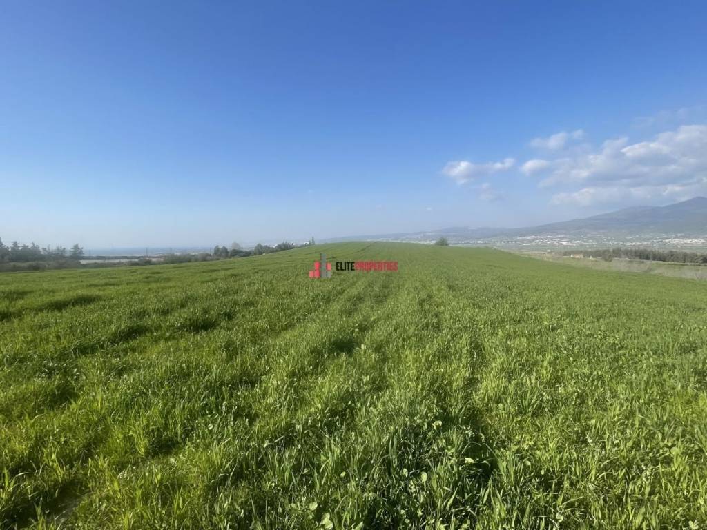 ΑΜΦΙΘΕΑΤΡΙΚΟ