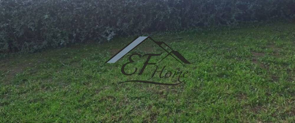 Εξωτερικά διαμορφωμένος χώρος