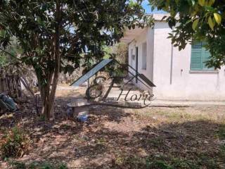 Άποψη οικοπέδου