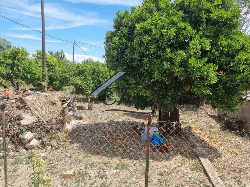 Άποψη οικοπέδου