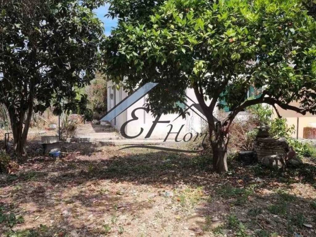 Άποψη οικοπέδου