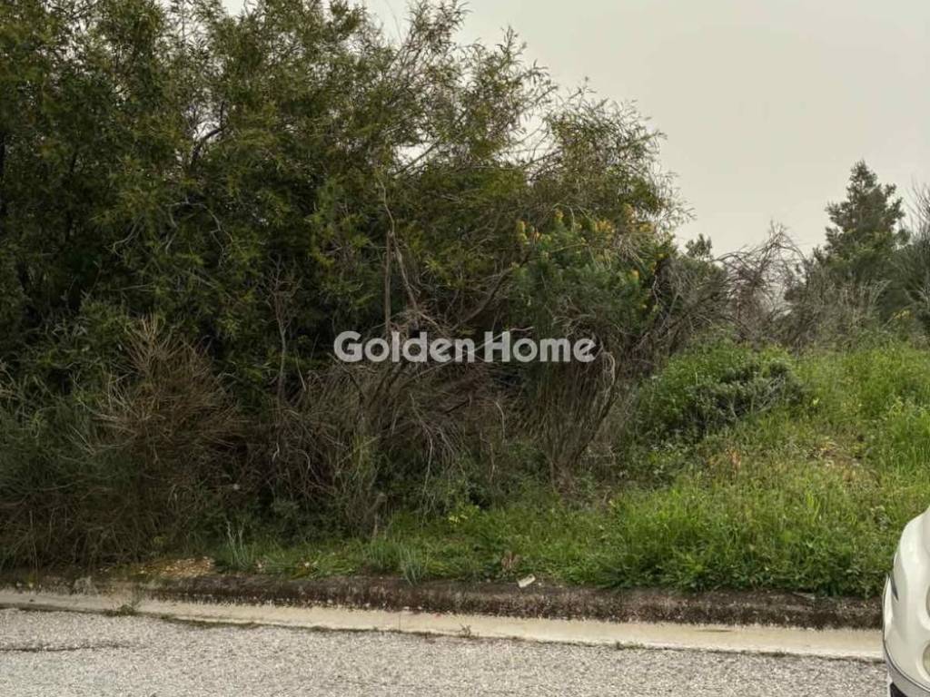 Εξωτερικός Χώρος