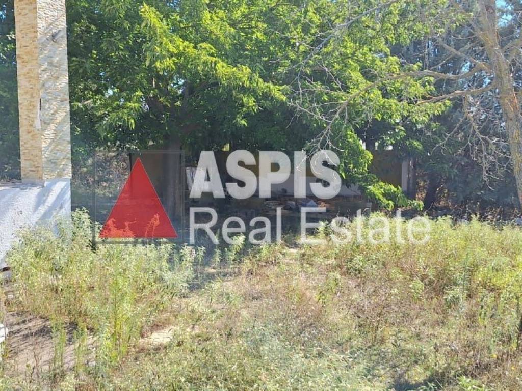 Εξωτερικοι χώροι