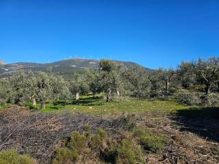 In Achladokampos a 9,250 sq m. a plot of land is for sale