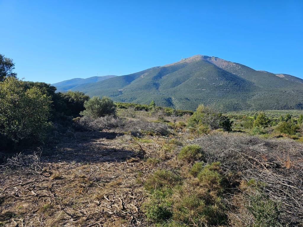 In Achladokampos a 9,250 sq m. a plot of land is for sale