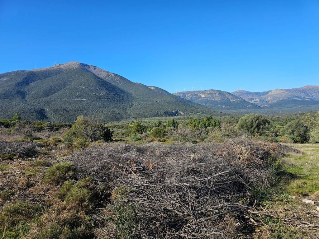 In Achladokampos a 9,250 sq m. a plot of land is for sale