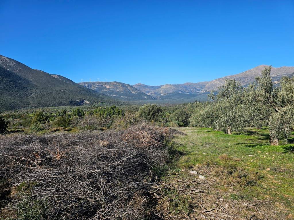 In Achladokampos a 9,250 sq m. a plot of land is for sale