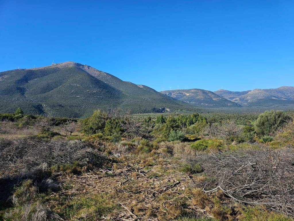 In Achladokampos a 9,250 sq m. a plot of land is for sale