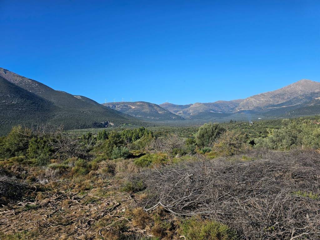 In Achladokampos a 9,250 sq m. a plot of land is for sale