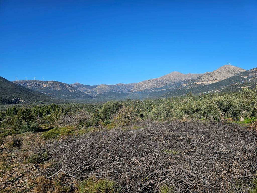 In Achladokampos a 9,250 sq m. a plot of land is for sale