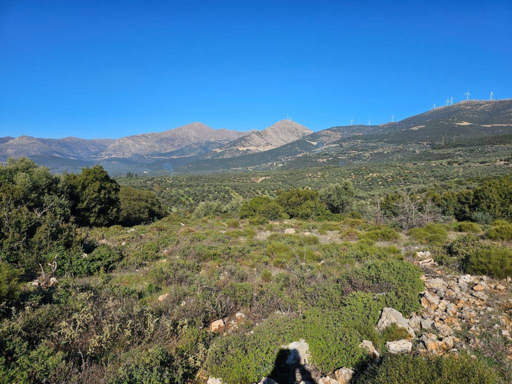 In Achladokampos a 9,250 sq m. a plot of land is for sale