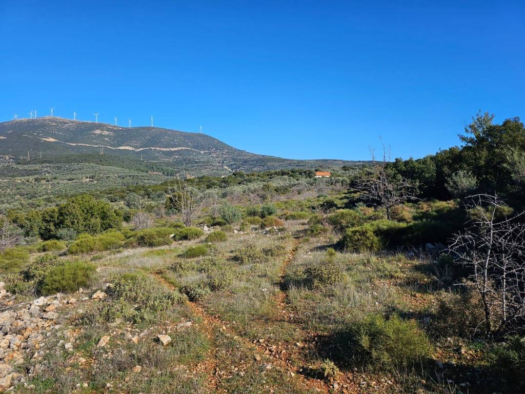 In Achladokampos a 9,250 sq m. a plot of land is for sale